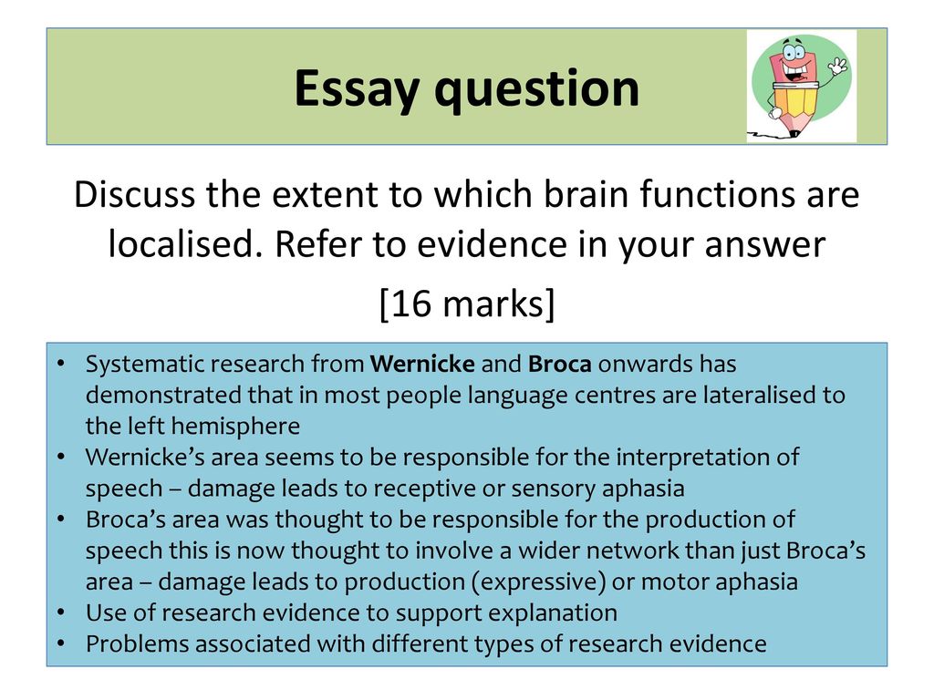 localisation of brain function essay